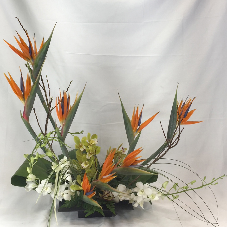 Birds Of Paradise Arrangement Roberts Floral and Gifts