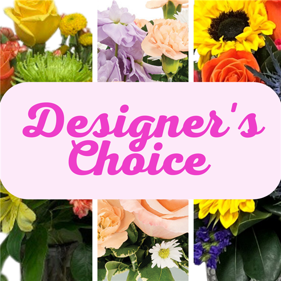 Designers Choice $250