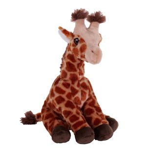 Baby Giraffe #PA223